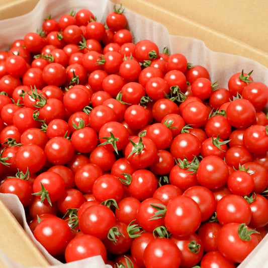 Brimming with sugar content of 10 to 14 degrees! Dark sweet fruit tomato "Tamamono of the Sun" 3kg